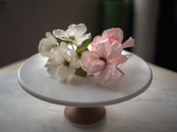 Petal Sweet Promo