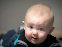 Little Al